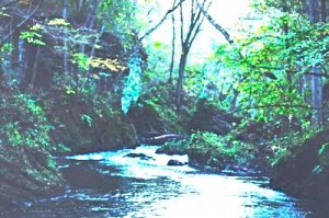 river_1